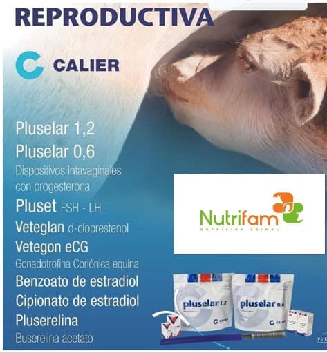 Pluselar